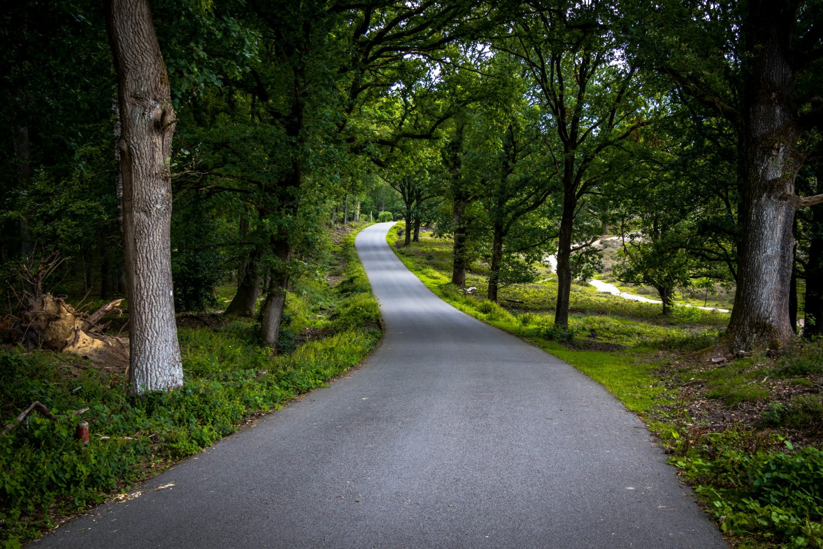 Bosrijke omgeving op de Veluwe tijdens de meivakantie