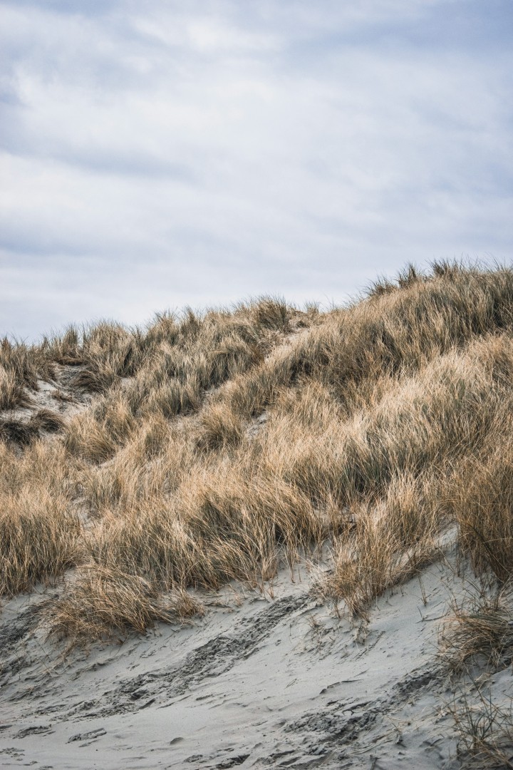 Duinen en strand op Texel tijdens de meivakantie